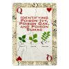 Deck of Survival Playing Cards